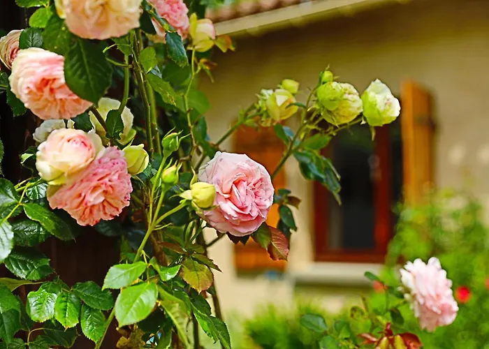 A Soulas Сasa de vacaciones