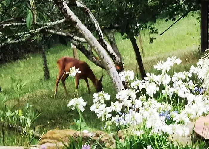A Soulas Сasa de vacaciones *