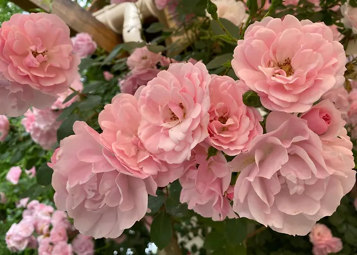 Сasa de vacaciones A Soulas